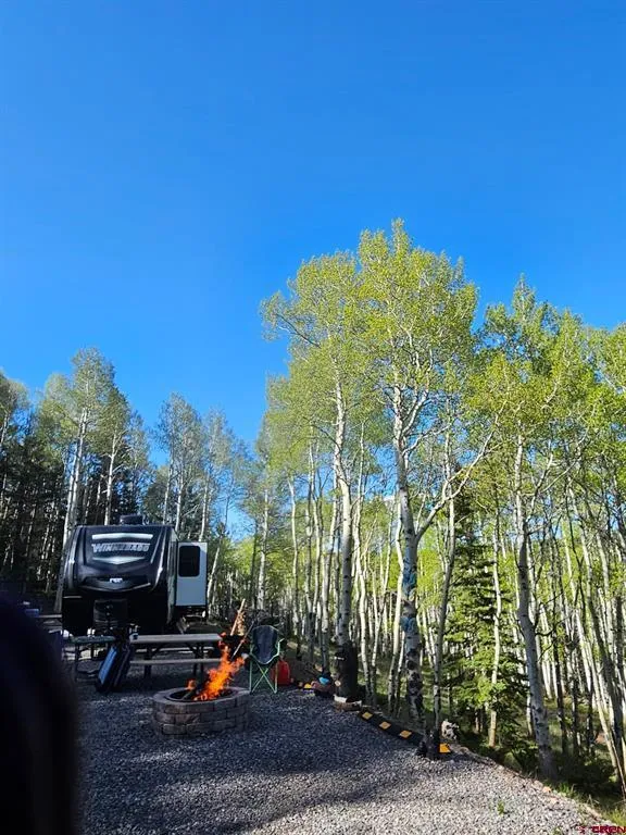 1255 Spruce Road Cimarron, CO 81220