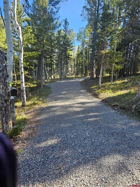 1255 Spruce Road Cimarron, CO 81220