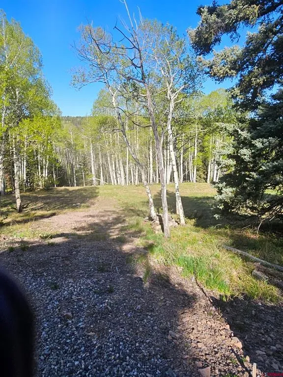 1255 Spruce Road Cimarron, CO 81220