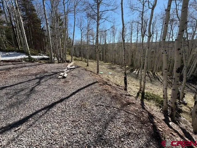 1255 Spruce Road Cimarron, CO 81220
