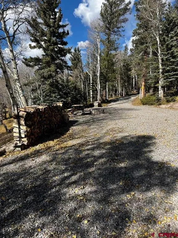 1255 Spruce Road Cimarron, CO 81220