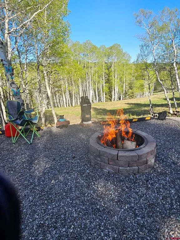 1255 Spruce Road Cimarron, CO 81220