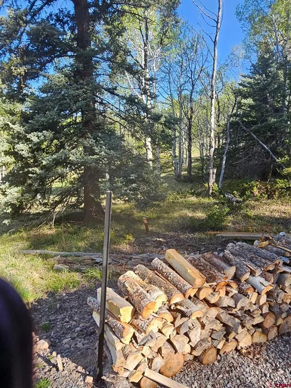 1255 Spruce Road Cimarron, CO 81220