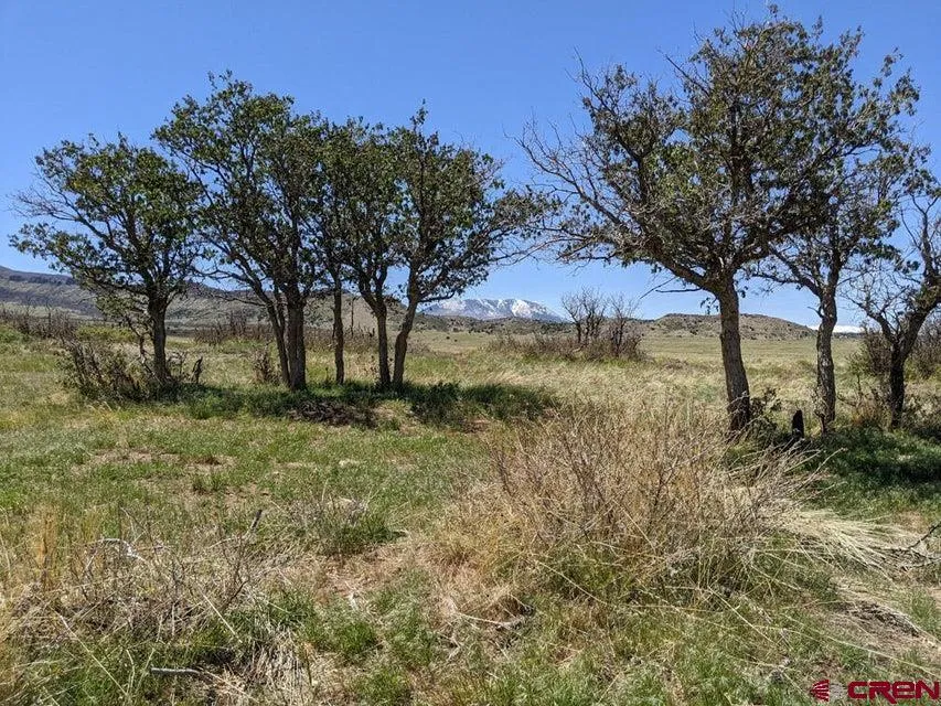 Majors Ranch Lot 31-B Walsenburg, CO 81089