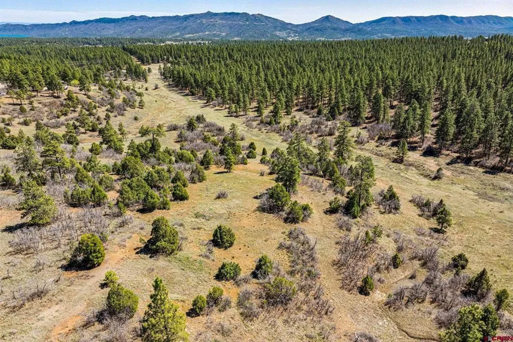 1963 County Road 125 Hesperus, CO 81326