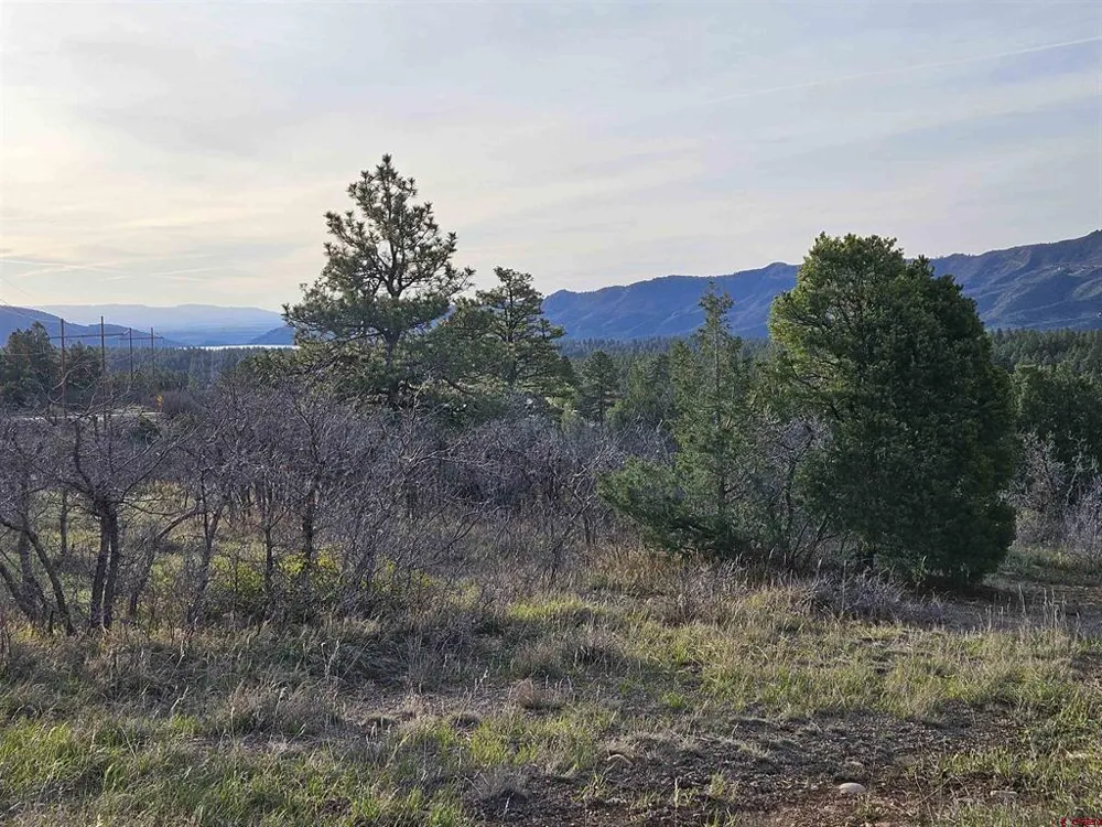 1963 County Road 125 Hesperus, CO 81326