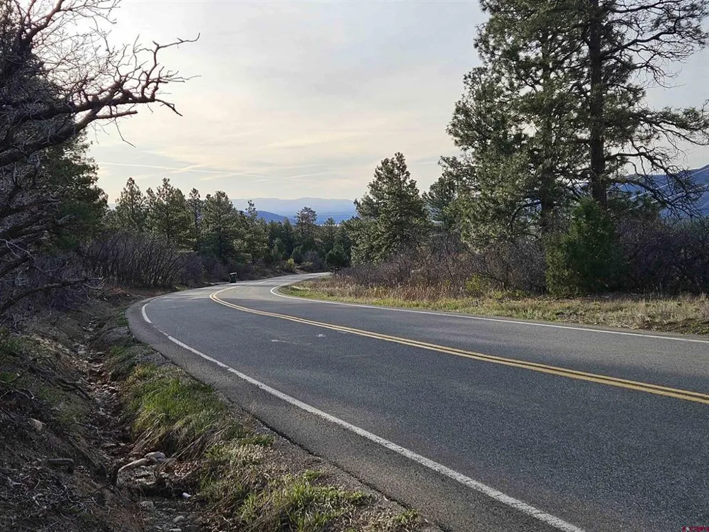 1963 County Road 125 Hesperus, CO 81326