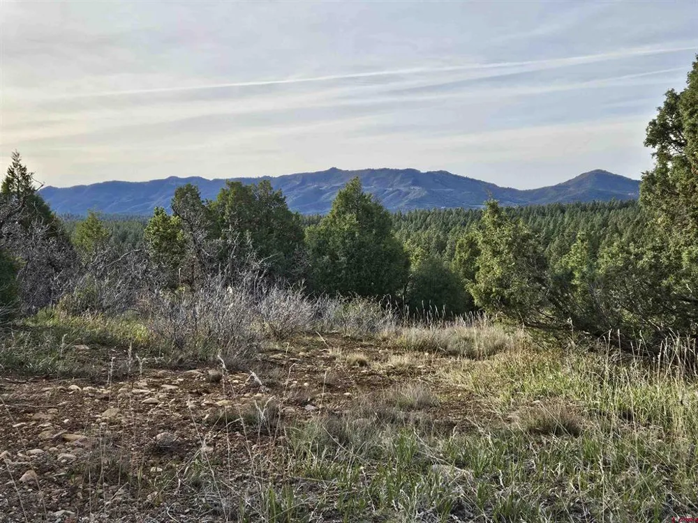 1963 County Road 125 Hesperus, CO 81326