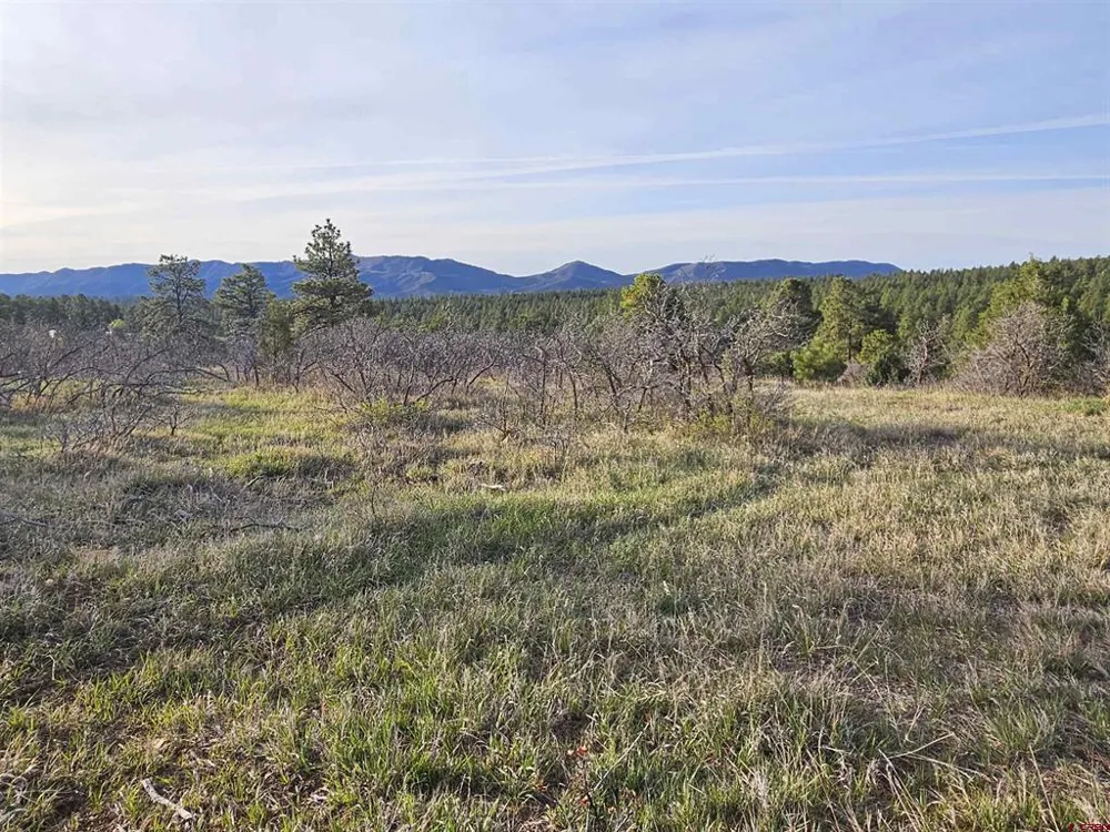 1963 County Road 125 Hesperus, CO 81326