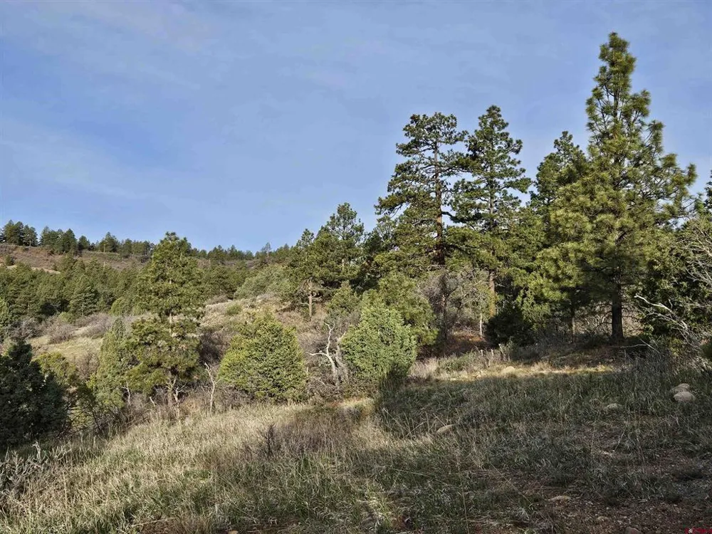 1963 County Road 125 Hesperus, CO 81326