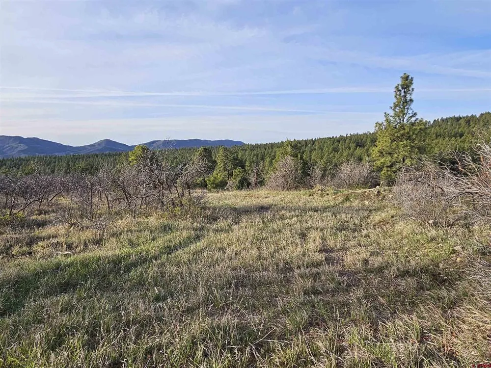 1963 County Road 125 Hesperus, CO 81326
