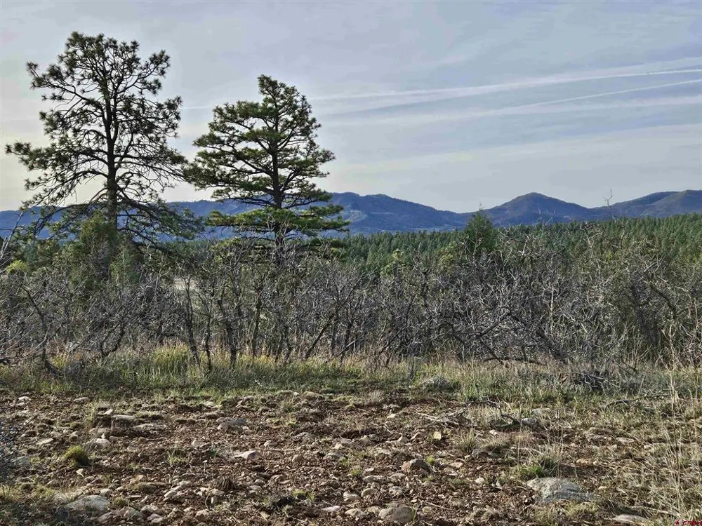 1963 County Road 125 Hesperus, CO 81326
