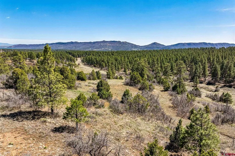 1963 County Road 125 Hesperus, CO 81326