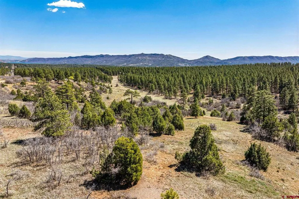 1963 County Road 125 Hesperus, CO 81326