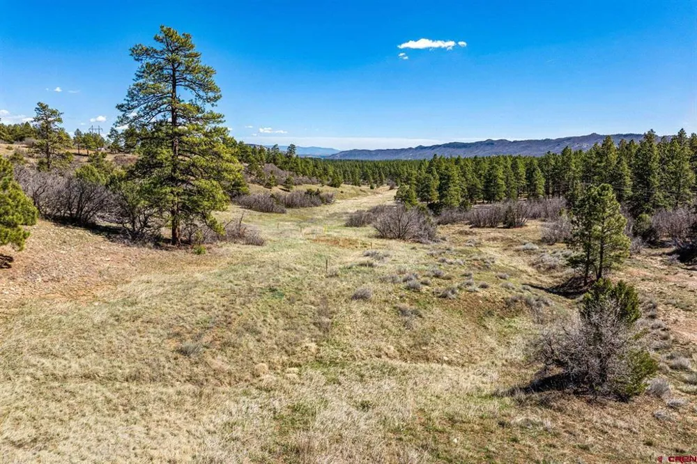 1963 County Road 125 Hesperus, CO 81326