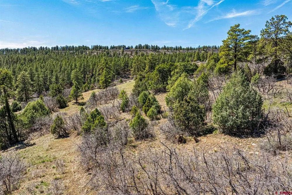 1963 County Road 125 Hesperus, CO 81326