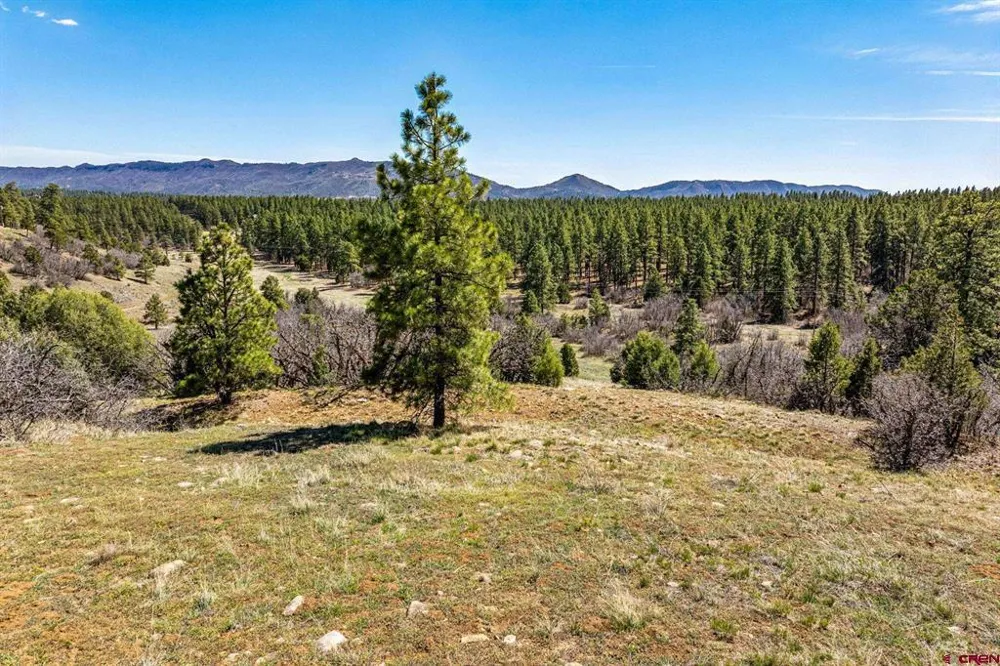 1963 County Road 125 Hesperus, CO 81326