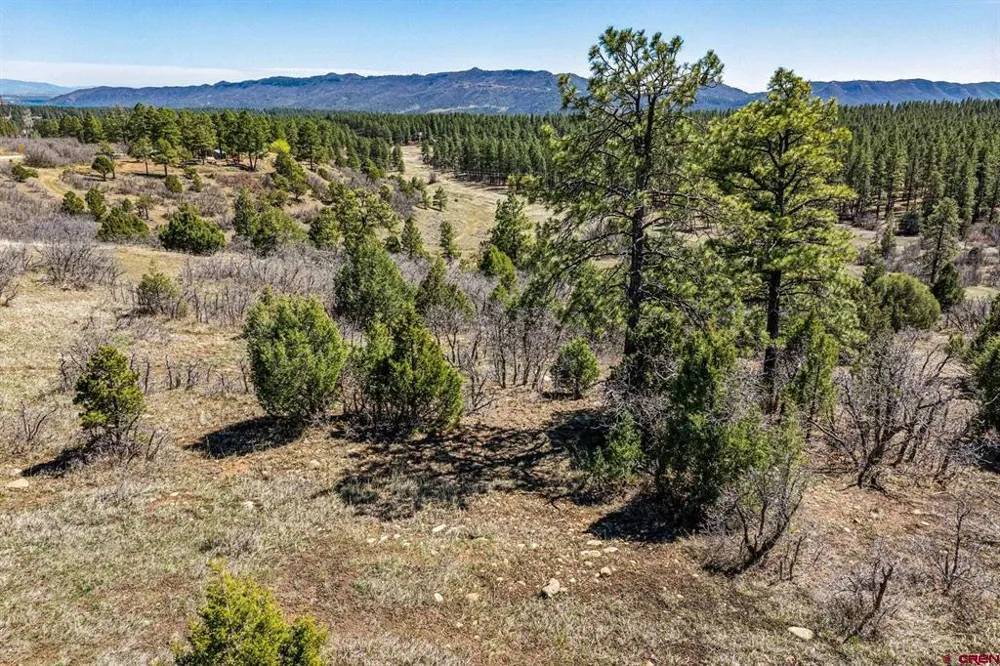 1963 County Road 125 Hesperus, CO 81326