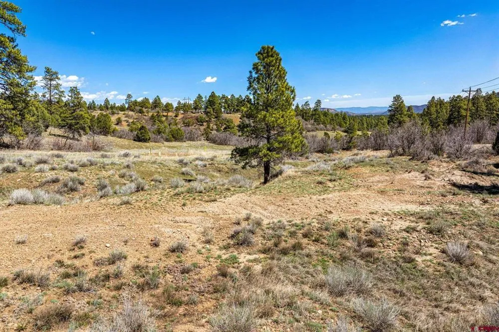 1963 County Road 125 Hesperus, CO 81326