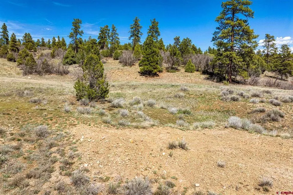1963 County Road 125 Hesperus, CO 81326