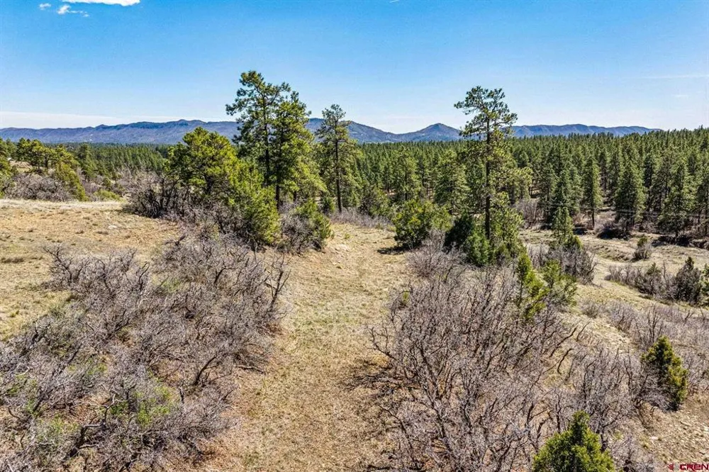 1963 County Road 125 Hesperus, CO 81326