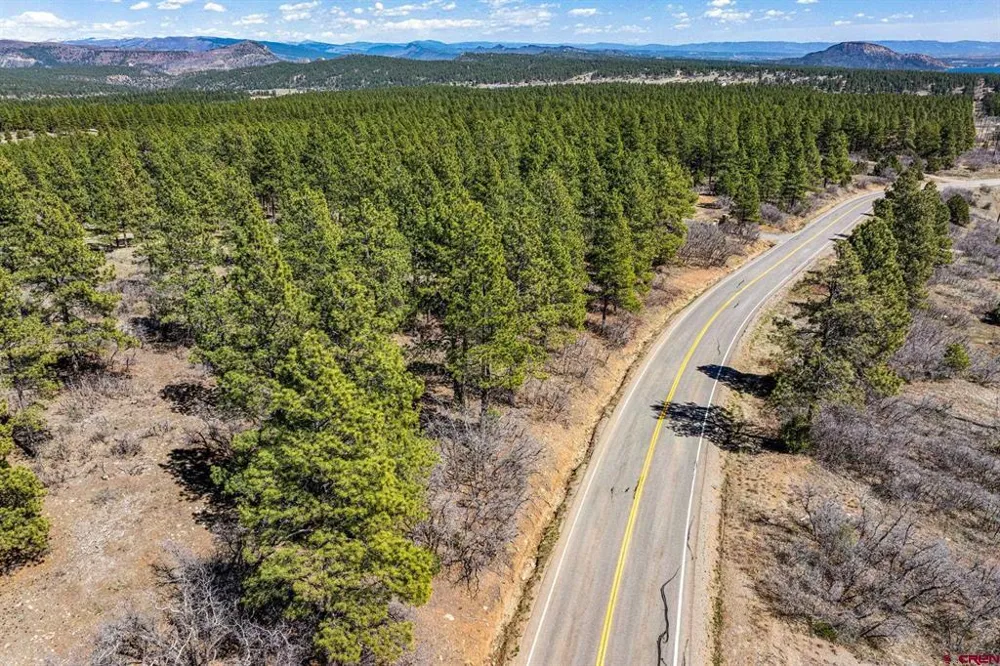 1963 County Road 125 Hesperus, CO 81326