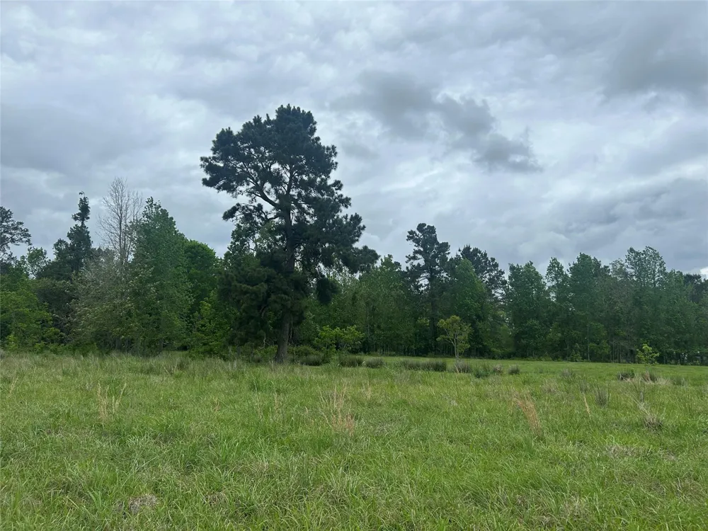 2 Minnie West Rd Hull, TX 77564