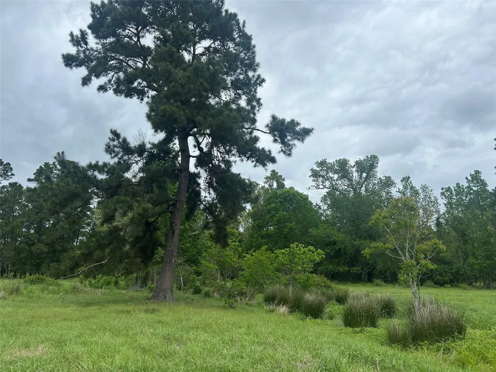 2 Minnie West Rd Hull, TX 77564