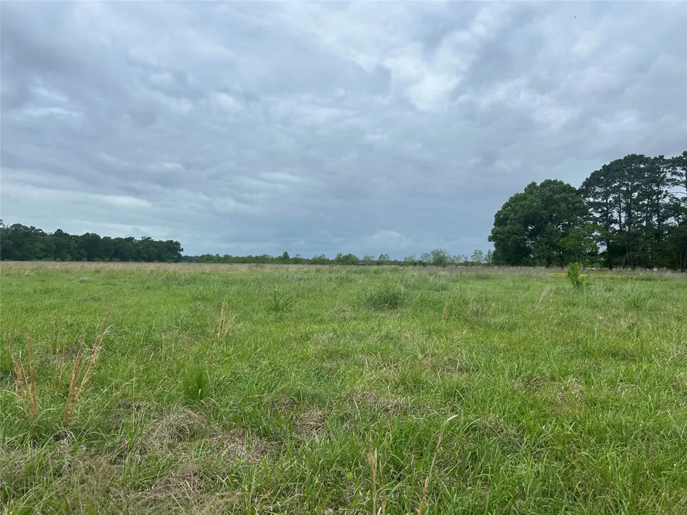 2 Minnie West Rd Hull, TX 77564