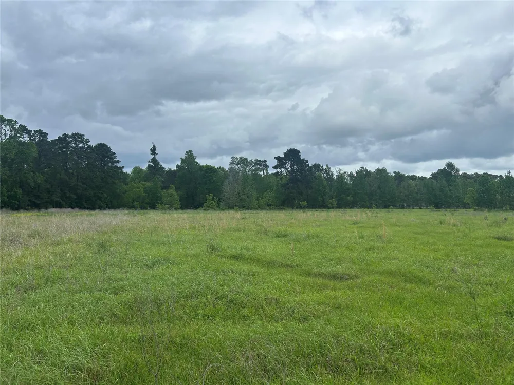 2 Minnie West Rd Hull, TX 77564
