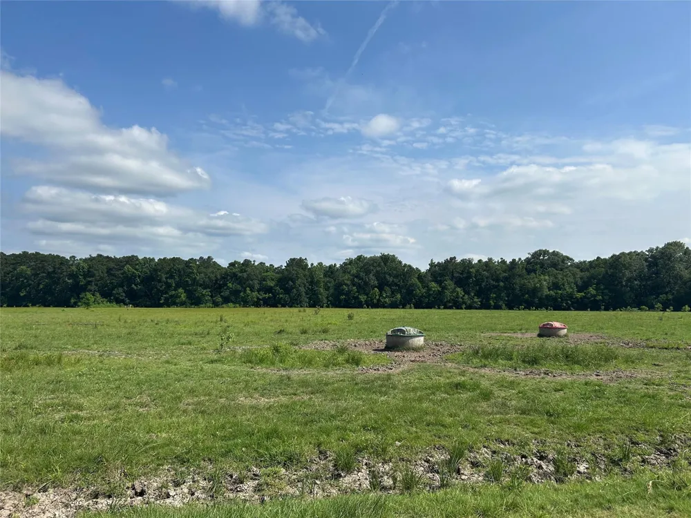 2 Minnie West Rd Hull, TX 77564