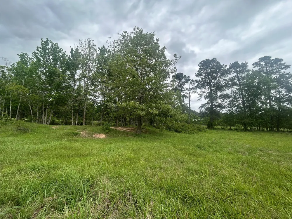 1 Minnie West Road Hull, TX 77564