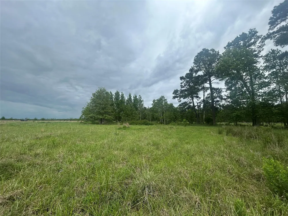 1 Minnie West Road Hull, TX 77564
