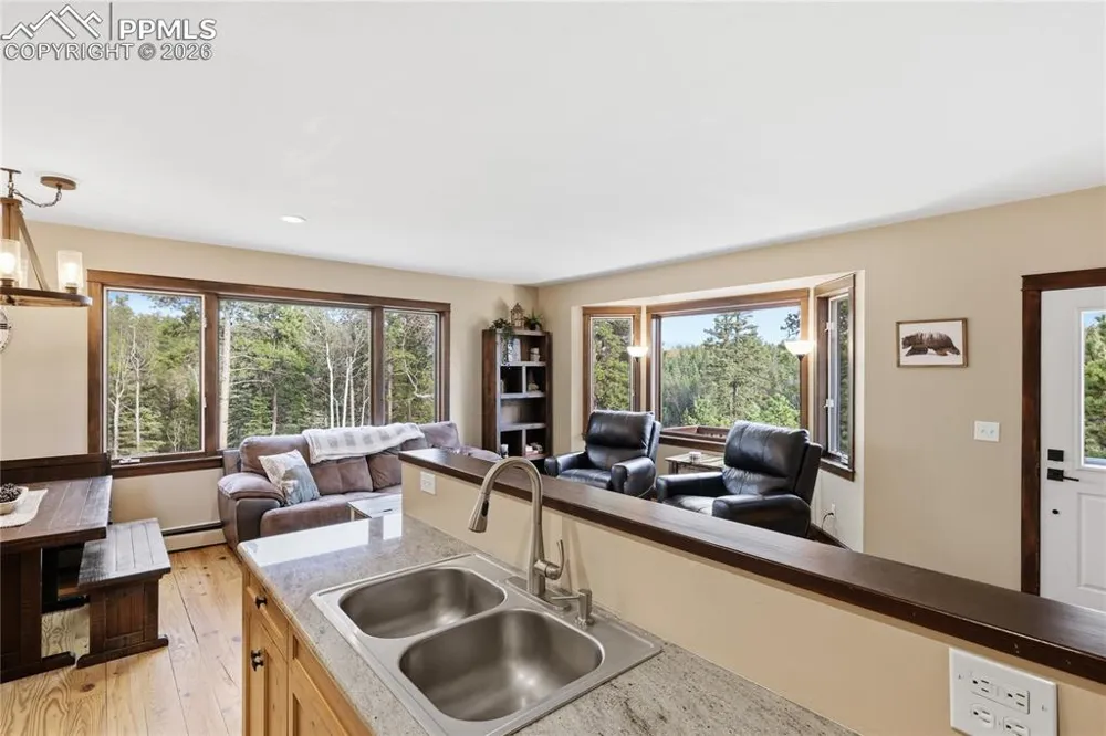 57 Trout Creek Circle Divide, CO 80814