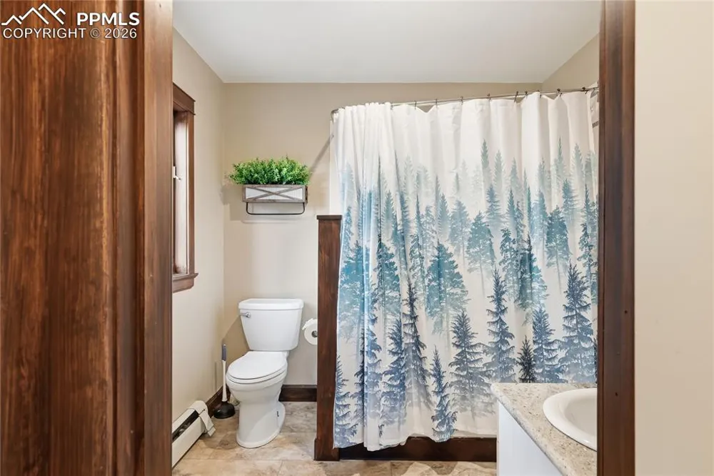 57 Trout Creek Circle Divide, CO 80814