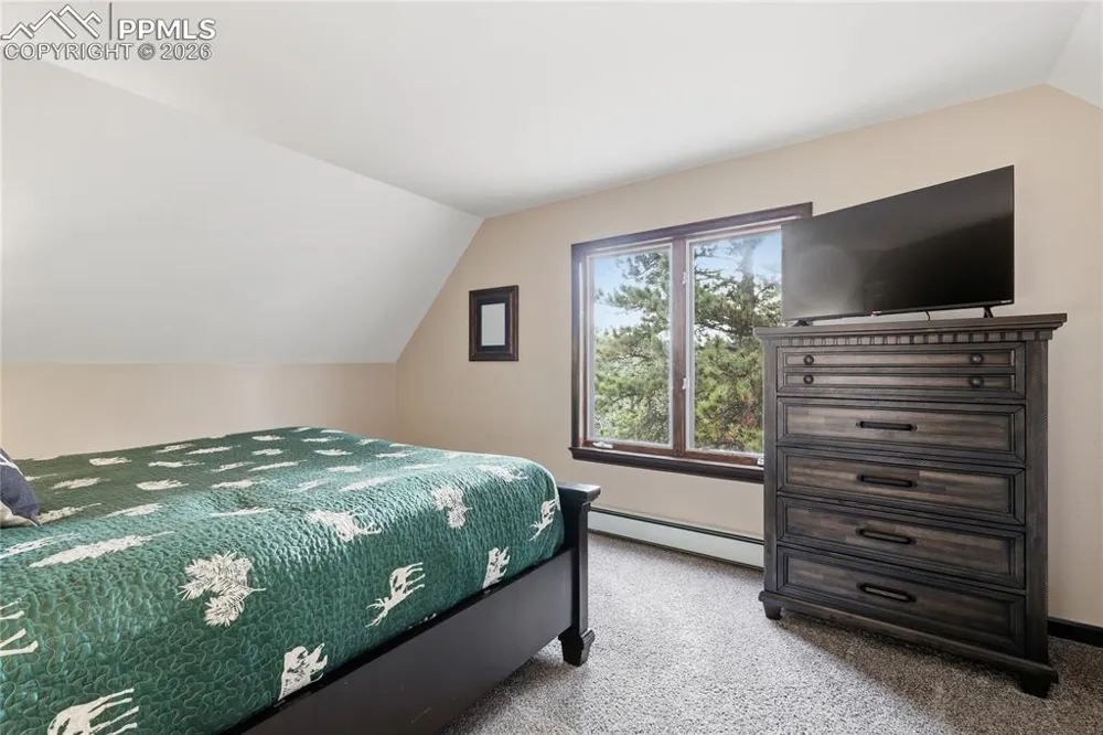 57 Trout Creek Circle Divide, CO 80814