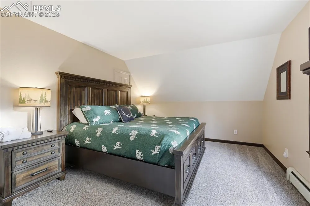 57 Trout Creek Circle Divide, CO 80814