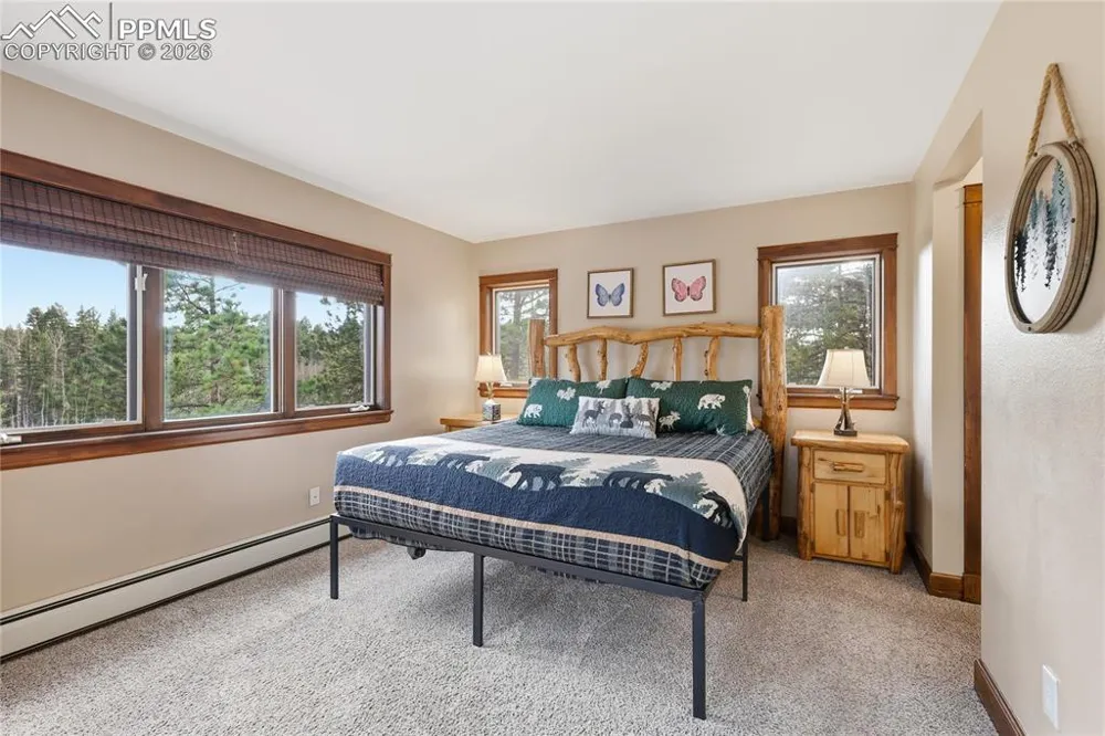 57 Trout Creek Circle Divide, CO 80814