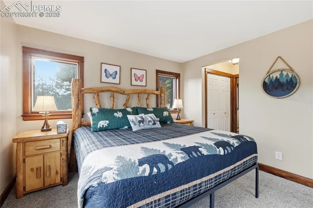 57 Trout Creek Circle Divide, CO 80814