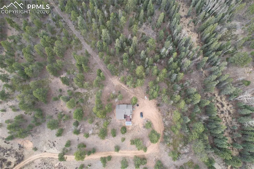 57 Trout Creek Circle Divide, CO 80814