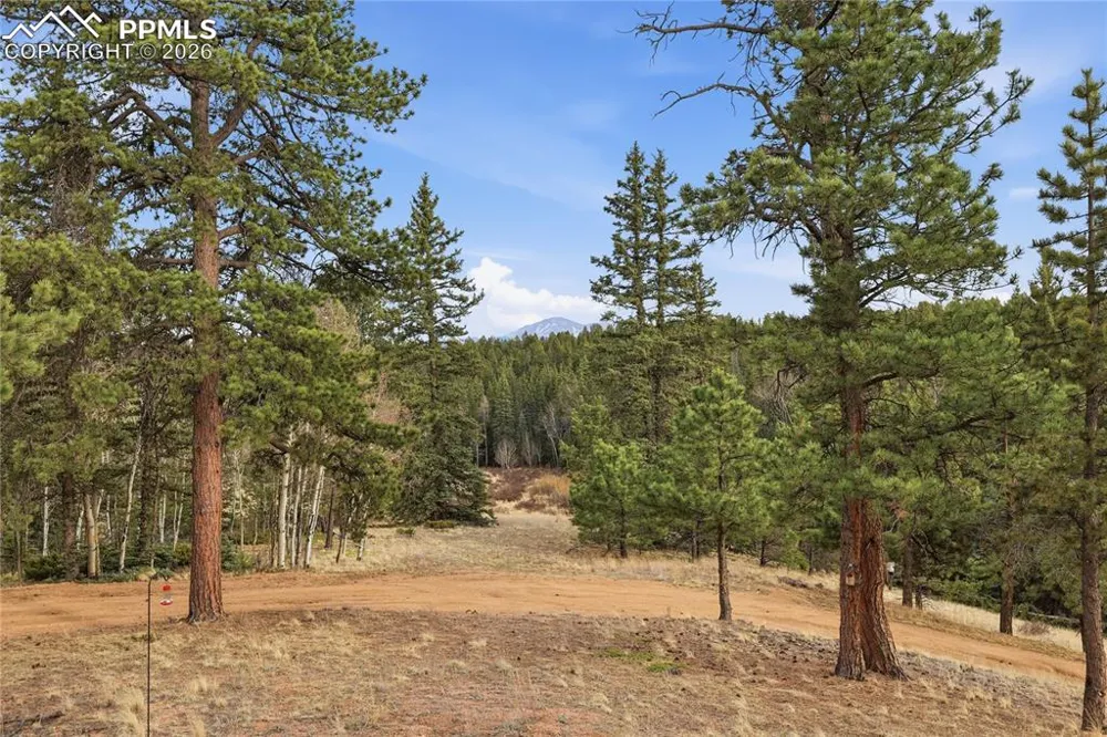 57 Trout Creek Circle Divide, CO 80814