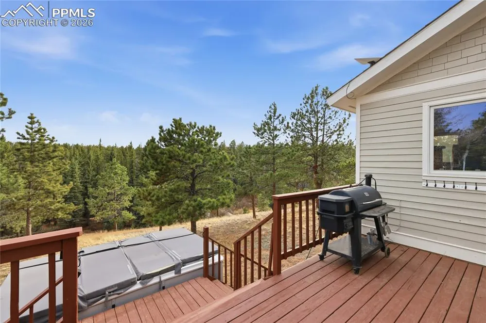 57 Trout Creek Circle Divide, CO 80814