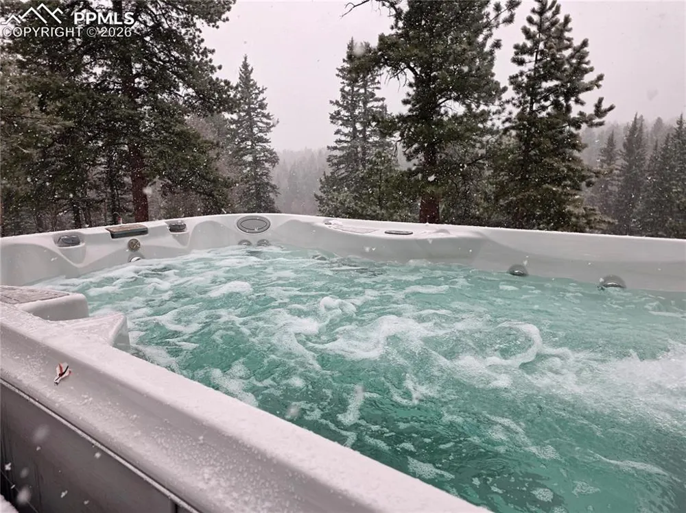 57 Trout Creek Circle Divide, CO 80814