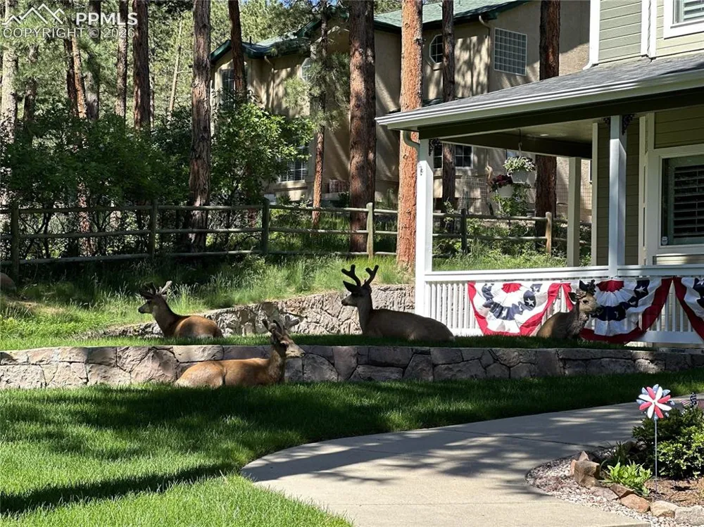 4745 Cheyenne Drive Larkspur, CO 80118