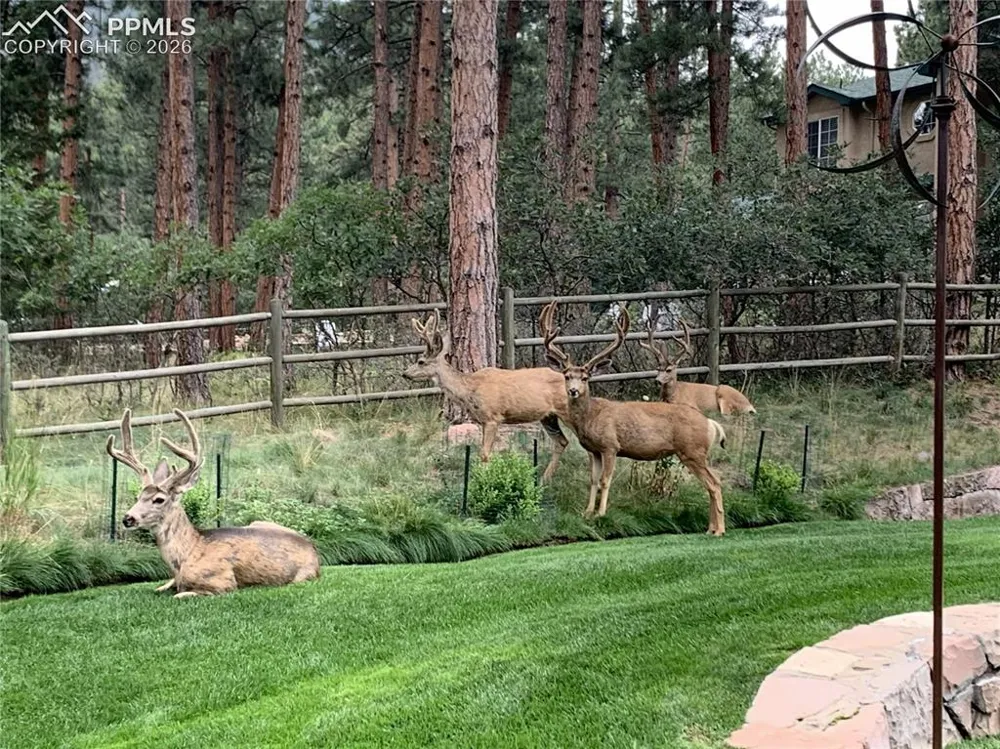 4745 Cheyenne Drive Larkspur, CO 80118
