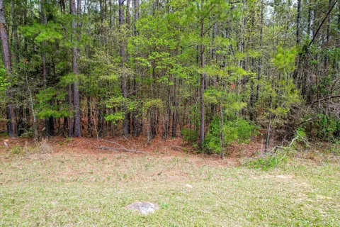 1078 Clinton-Williams Road