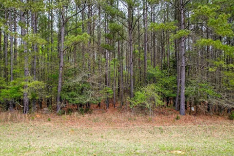 1030 Clinton-Williams Road Road
