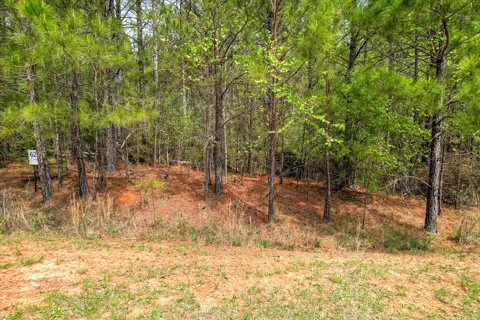 1048 Longleaf Way