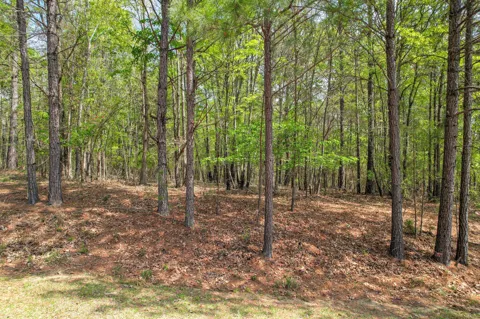 1018 Pineknoll Lane