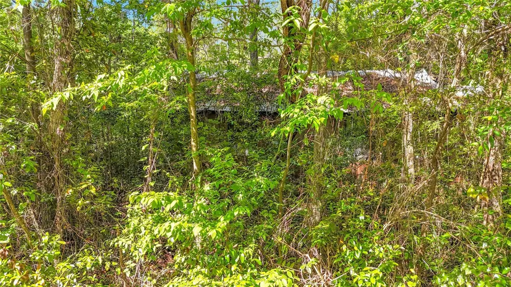 Lot 000 NW 39TH AVENUE Gainesville, FL 32606